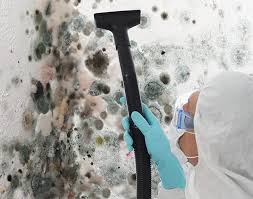 Best Industrial Mold Remediation  in River Park, FL